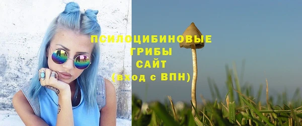 гашик Абинск
