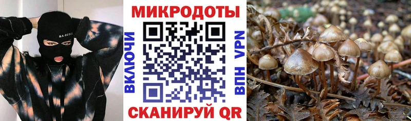 Псилоцибиновые грибы ЛСД  Новоуральск 