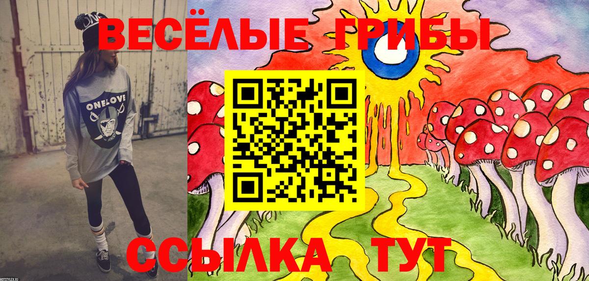 Псилоцибиновые грибы Psilocybine cubensis  Вход с VPN  Новоуральск 